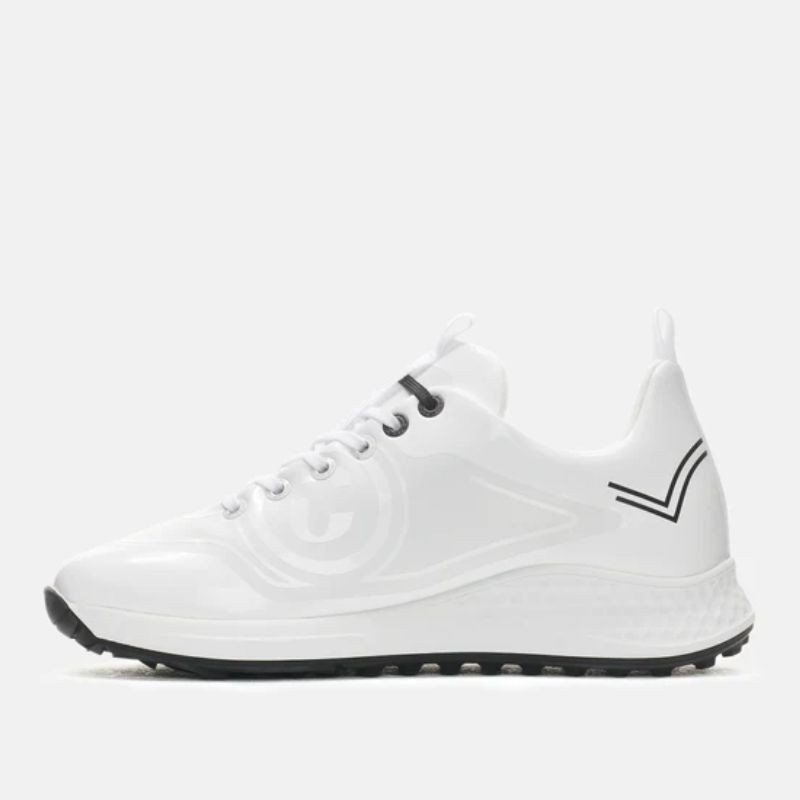 DUCA DEL COSMA- WILD CAT